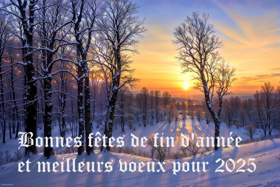 Bonnes fêtes de fin d&#039;année et meilleurs vœux pour 2025